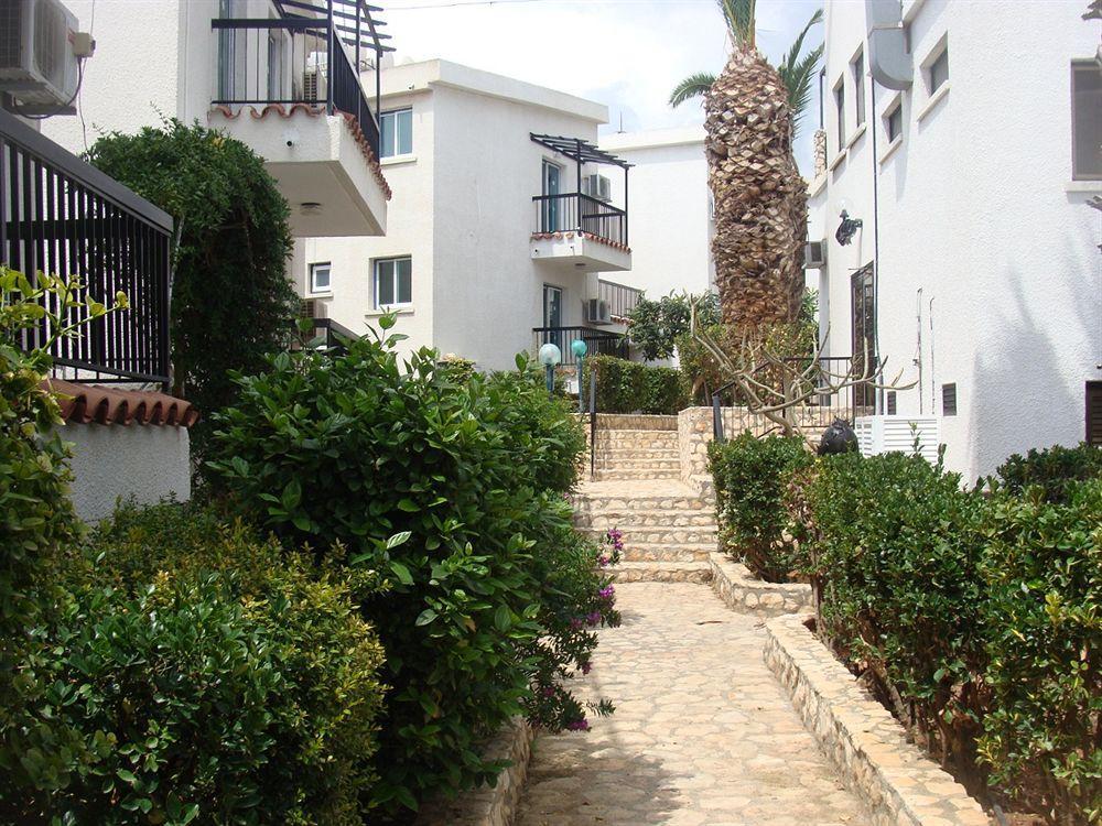 Aphelandra Hotel Apartments Айя-Напа Екстер'єр фото
